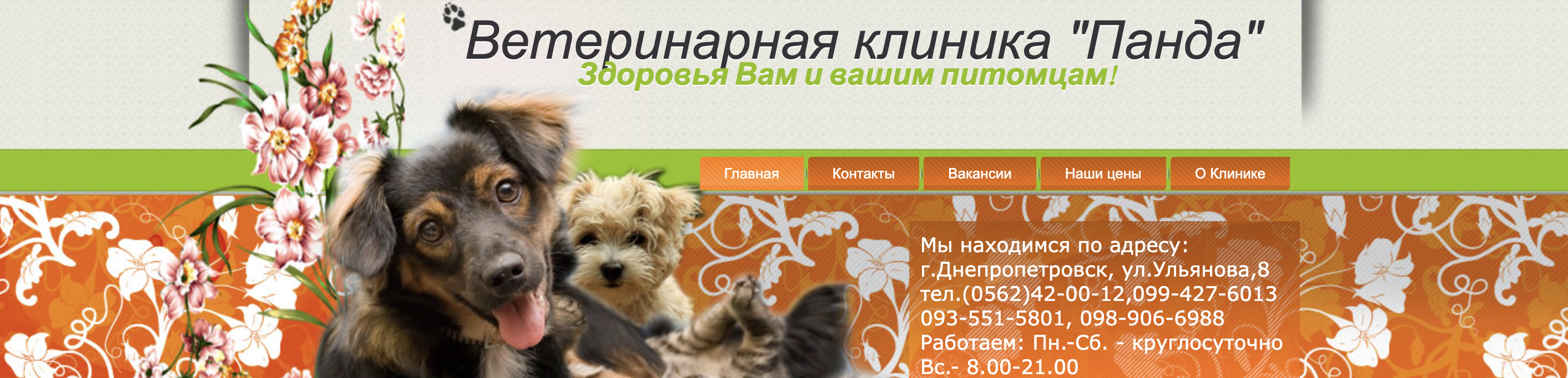 Ветклиника Панда